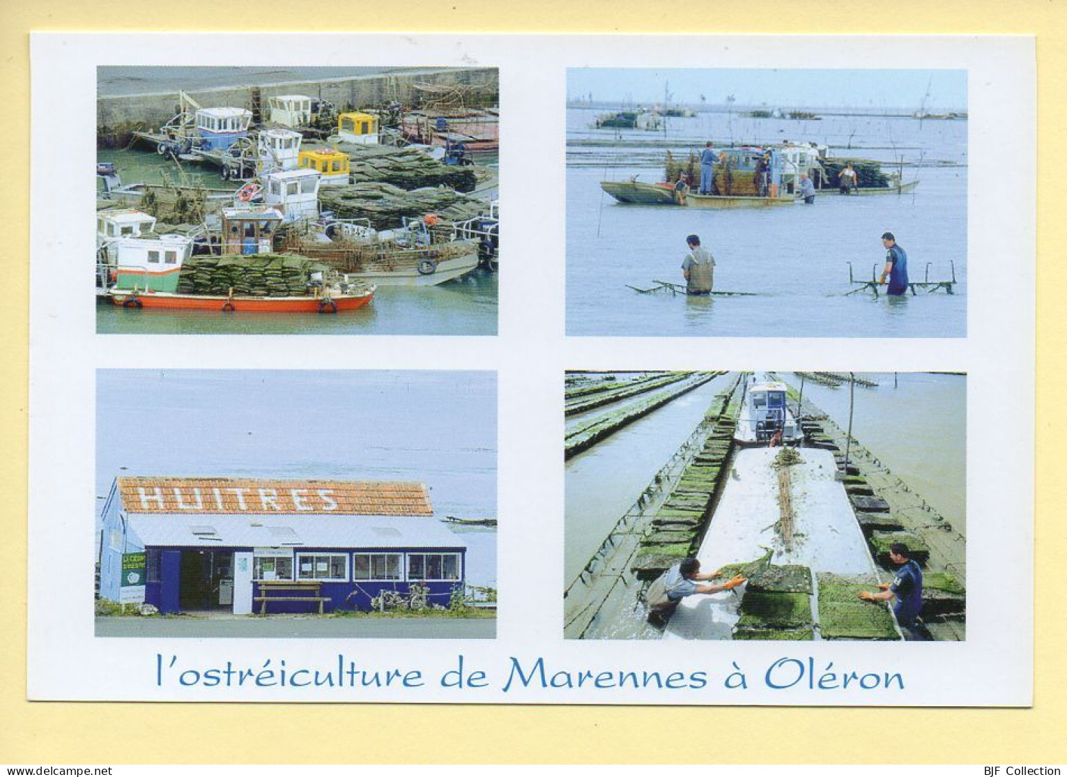 17. L'ostréiculture De Marennes à Oléron / 4 Vues (animée) (voir Scan Recto/verso) - Marennes