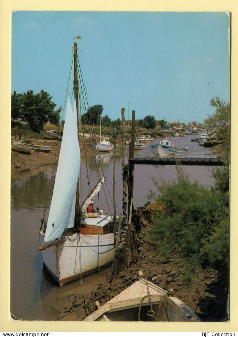 17. LA TREMBLADE – Le Canal Vers La Seudre (bateaux) (voir Scan Recto/verso) - La Tremblade