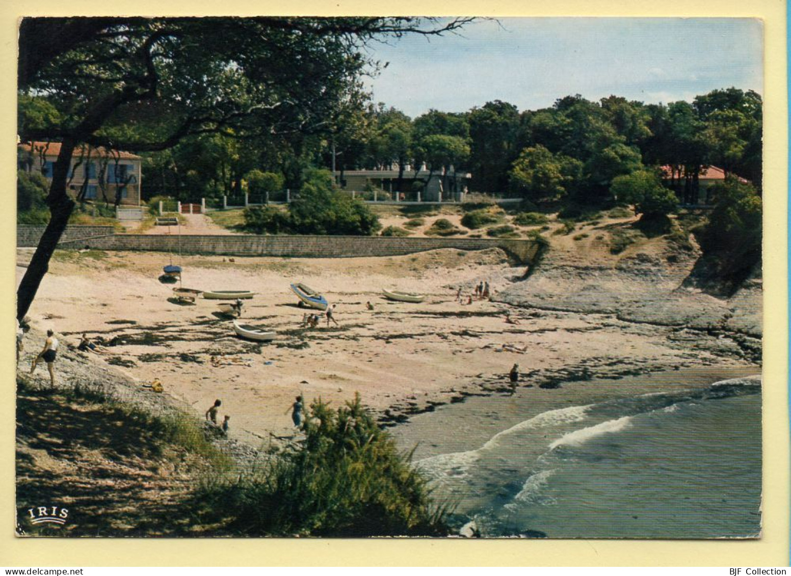 17. Près De ROYAN – Entre PONTAILLAC Et SAINT-PALAIS-SUR-MER / La Plage Du Conseil (animée) (voir Scan Recto/verso) - Vaux-sur-Mer