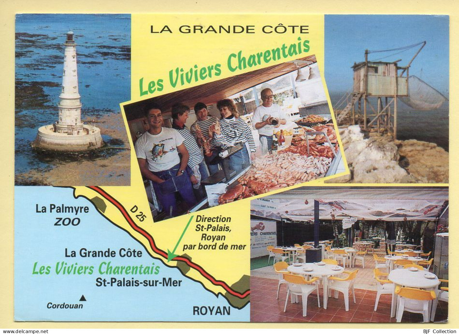 17. LA GRANDE COTE / LES VIVIERS CHARENTAIS – Multivues (animée) (voir Scan Recto/verso) - Saint-Palais-sur-Mer