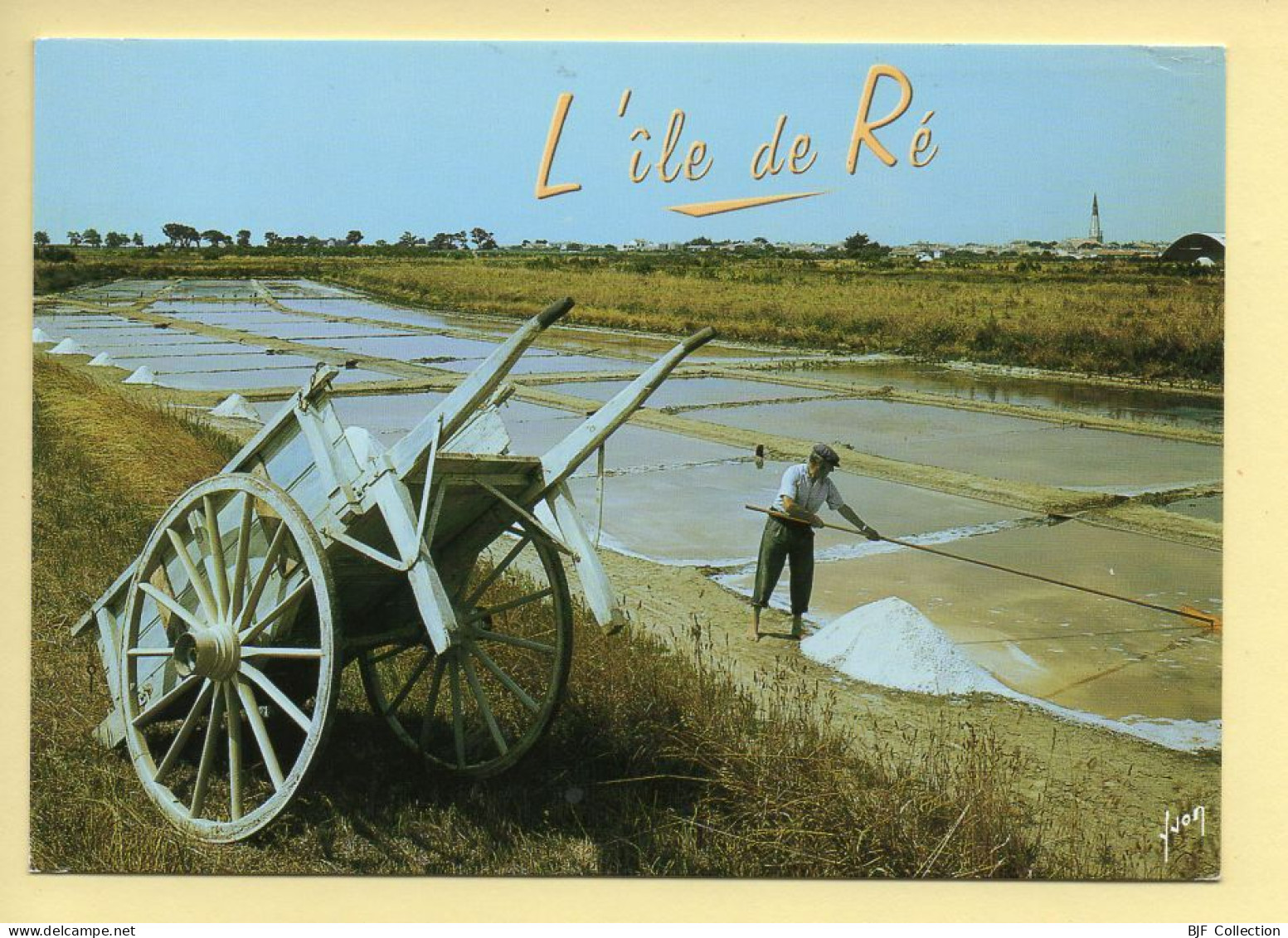 17. ILE DE RE – Marais Salants / Récolte Du Sel Par Le Paludier (animée) (voir Scan Recto/verso) - Saint-Martin-de-Ré