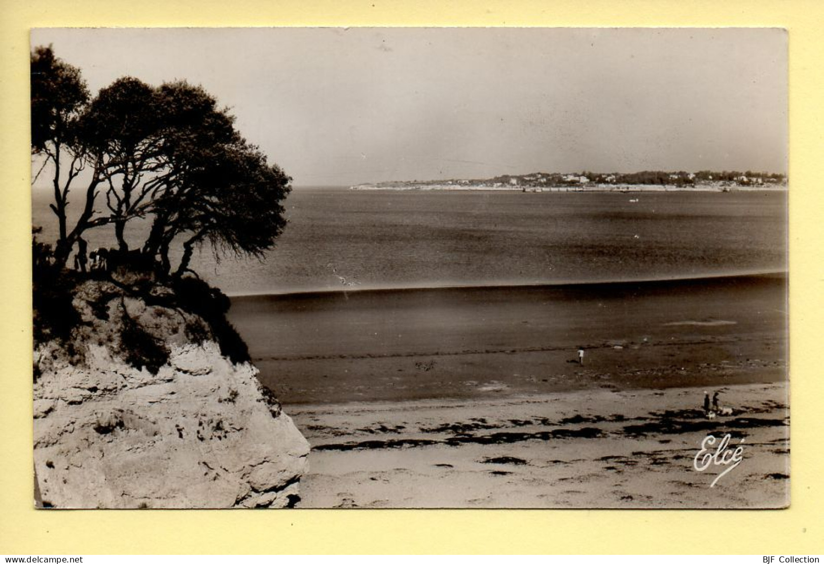 17. ROYAN – Vue Sur La Côte De Royan Et De Pontaillac / CPSM – Véritable Photo Au Bromure (voir Scan Recto/verso) - Royan