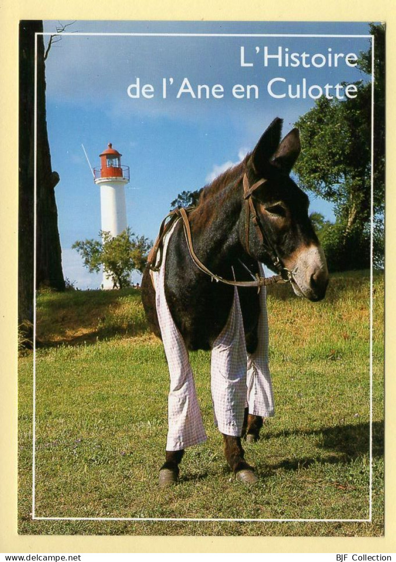 17. ILE D'OLERON – L'histoire De  L'Ane En Culotte (voir Scan Recto/verso) - Ile D'Oléron