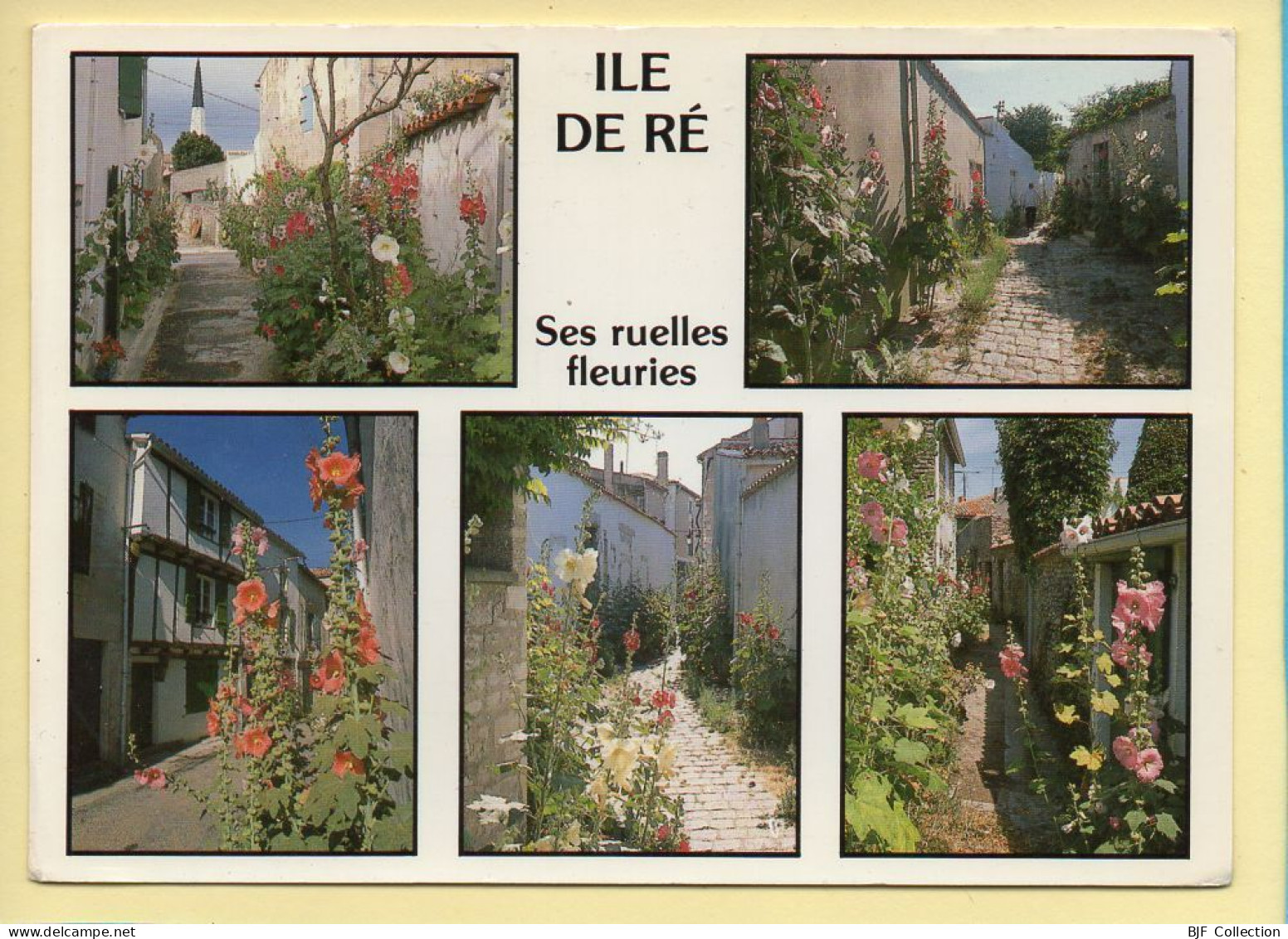 17. ILE DE RE – Ses Ruelles Fleuries / Multivues (voir Scan Recto/verso) - Ile De Ré