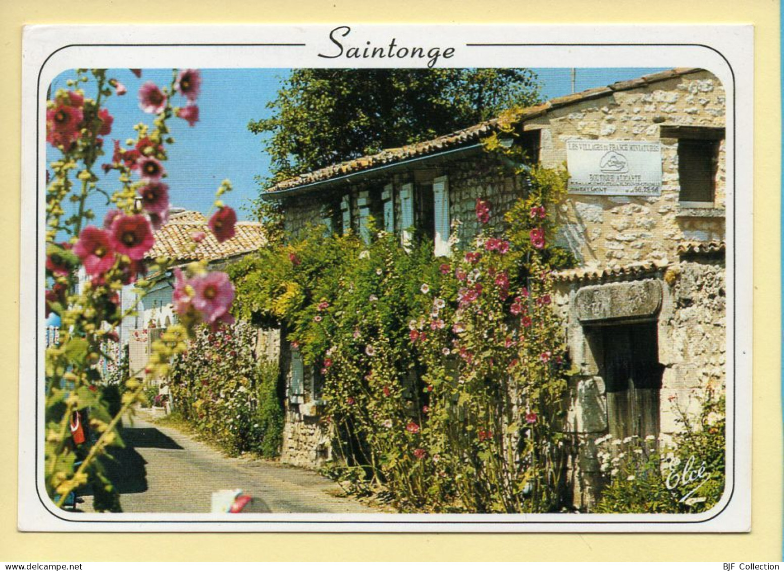 17. SAINTONGE – La Saintonge Fleurie (voir Scan Recto/verso) - Autres & Non Classés