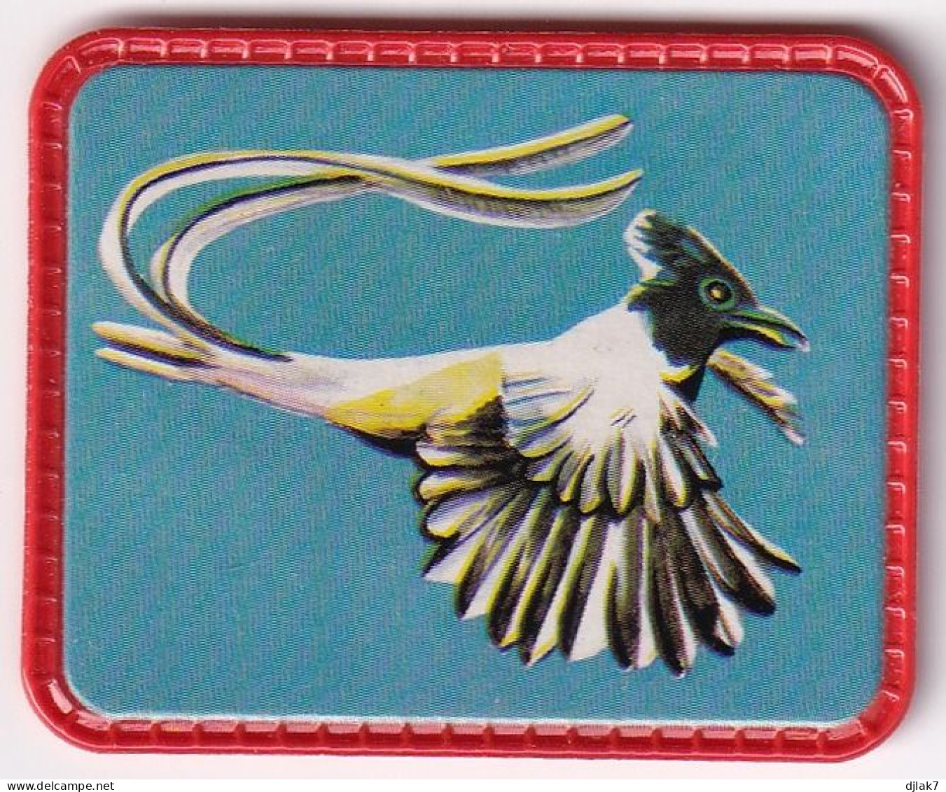 Chromo Plastifié Cafés Maurice Collection Les Oiseaux Merveilleux N° 44 Gobe Mouches De Paradis - Tea & Coffee Manufacturers