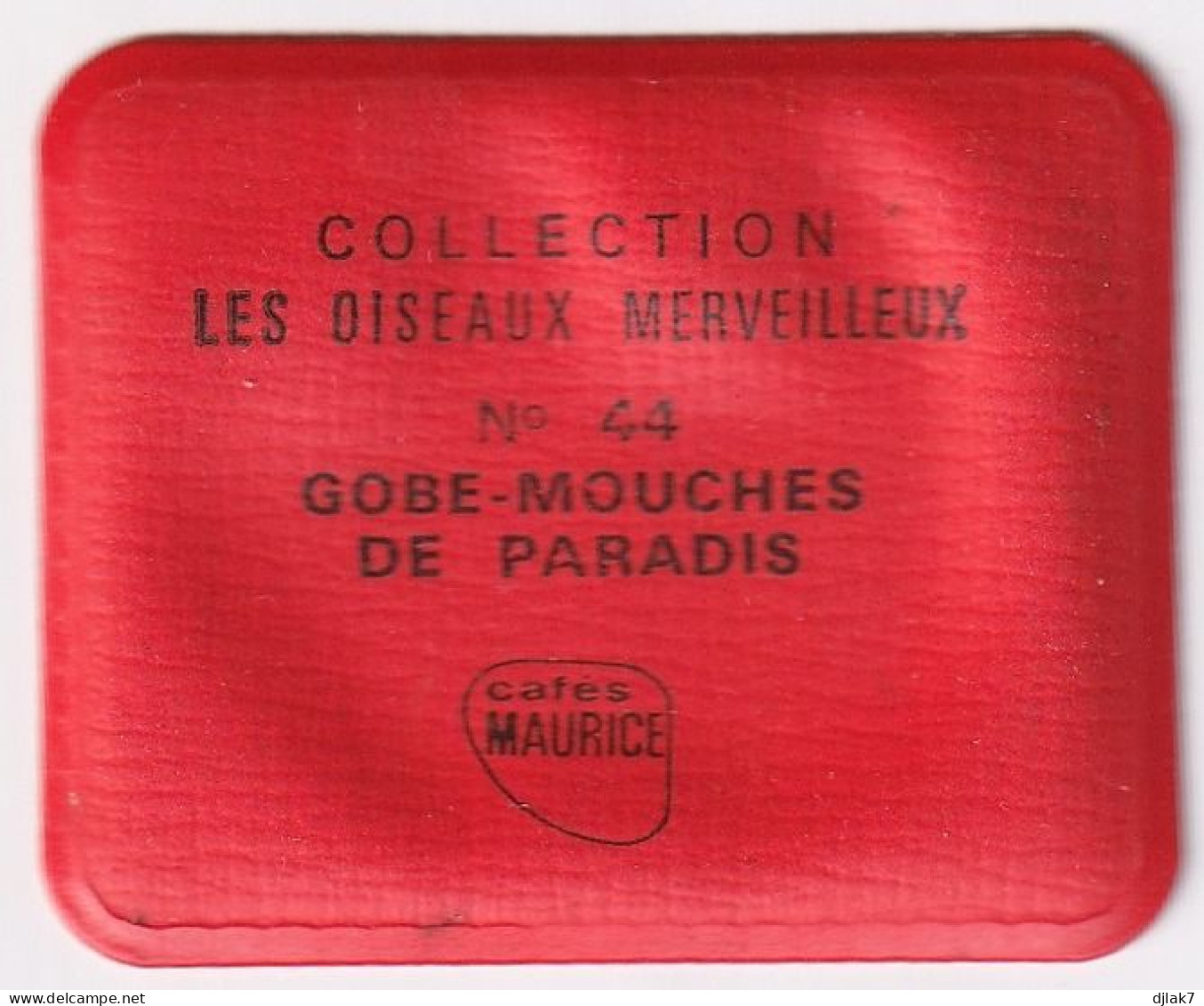 Chromo Plastifié Cafés Maurice Collection Les Oiseaux Merveilleux N° 44 Gobe Mouches De Paradis - Tea & Coffee Manufacturers