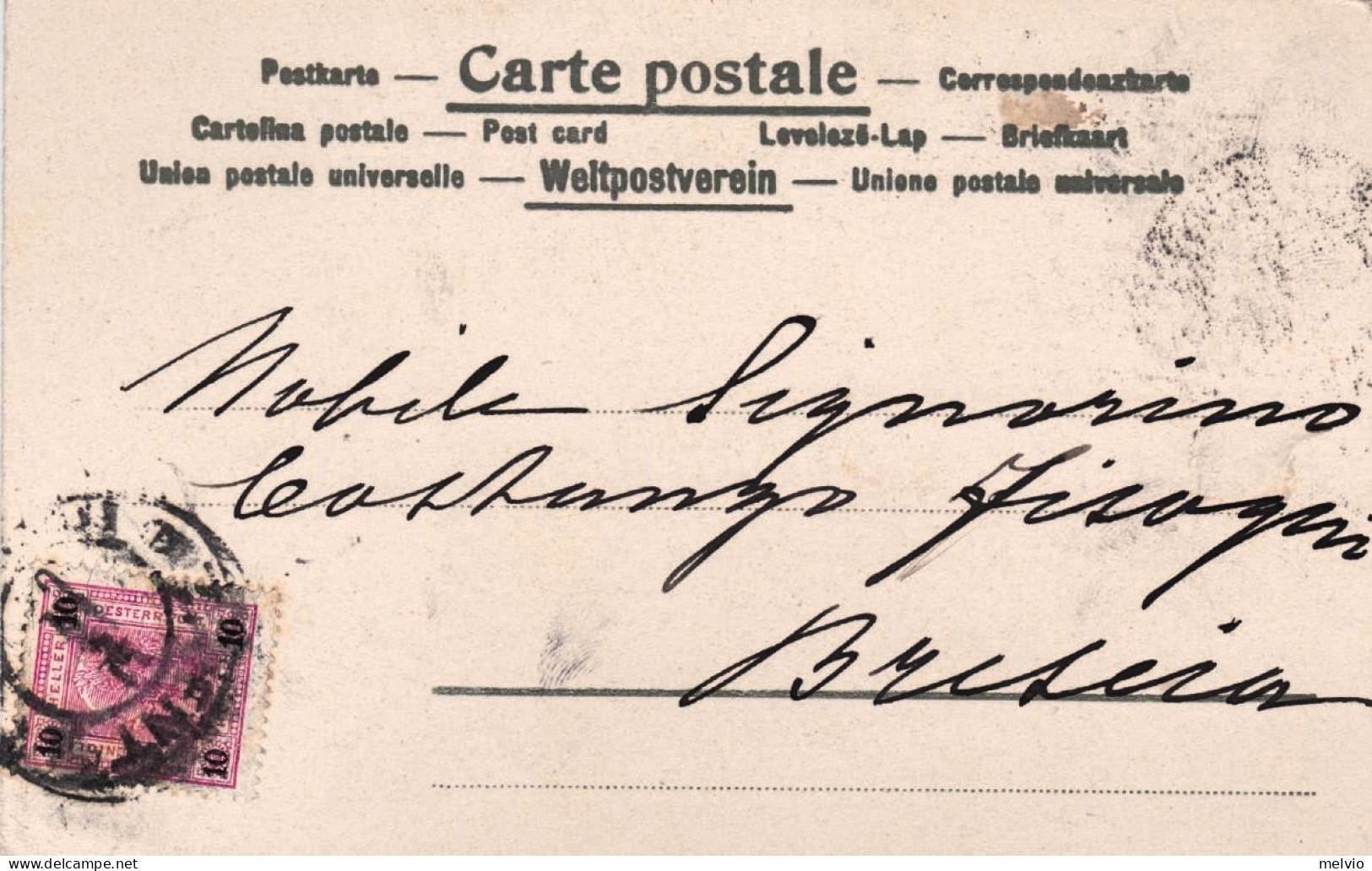 1904-Austria Buona Pasqua Pulcini, Cartolina Viaggiata - Pâques