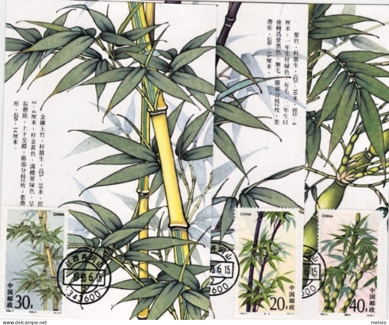 1993-Cina China 7, Scott 2444-47 Bamboo Maximum Cards - Lettres & Documents