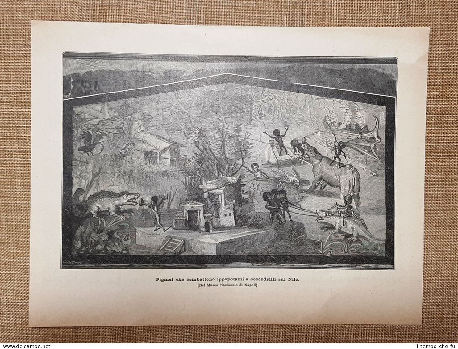 Pigmei Che Combattono Ippopotami E Coccodrilli Sul Nilo Napoli Stampa Del 1897 - Avant 1900