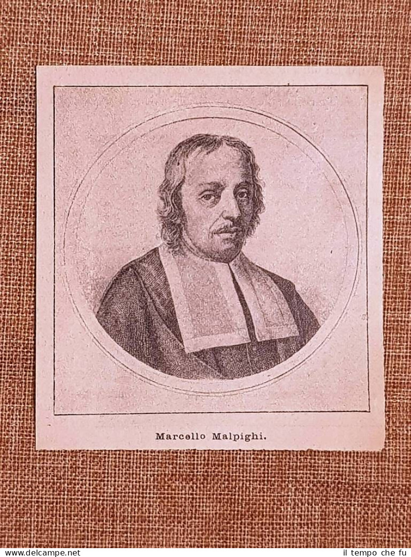 Marcello Malpighi Crevalcore, 10 Marzo 1628 – Roma, 29 Novembre 1694 Medico - Avant 1900