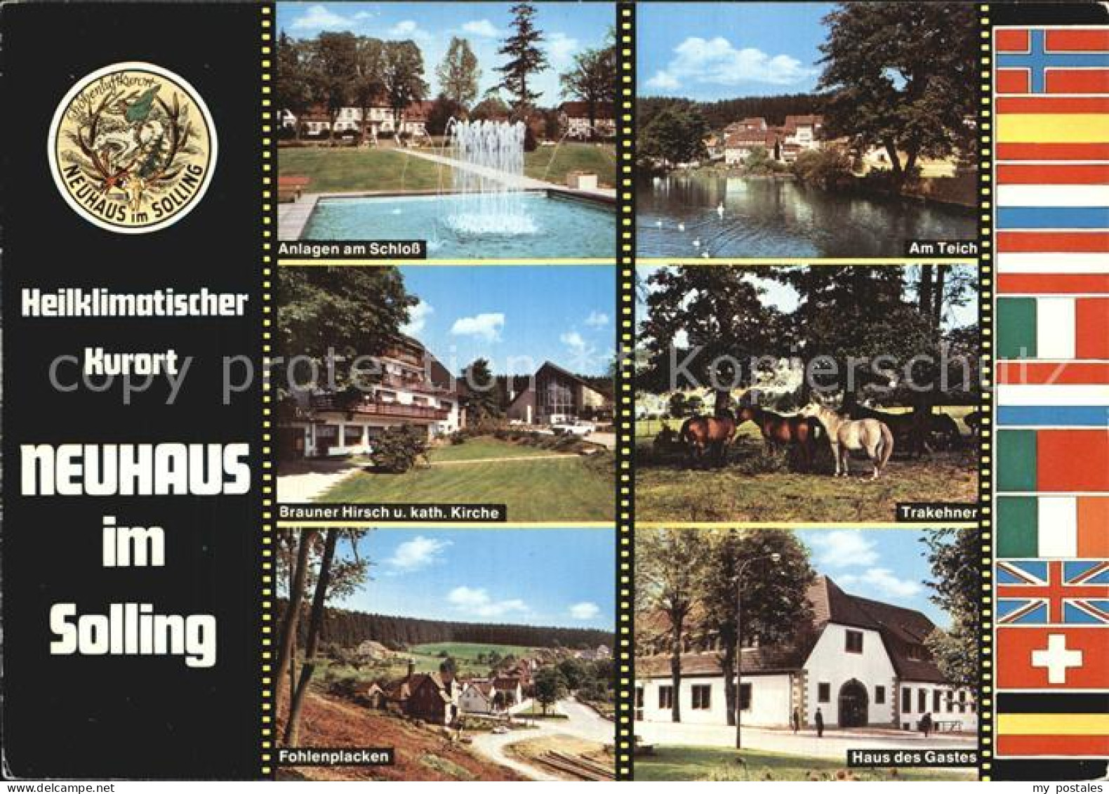 72574119 Neuhaus Solling Anlagen Am Schloss Teich Trakehner Brauner Hirsch Kirch - Holzminden
