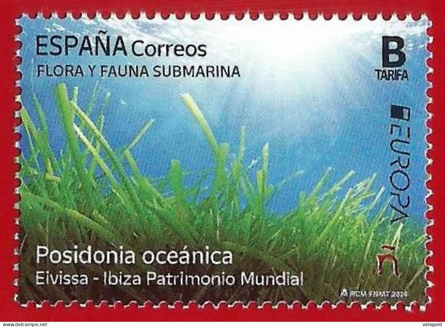 España. Spain. 2024. EUROPA. Flora Y Fauna Submarina. Posidonia Oceánica - Ungebraucht