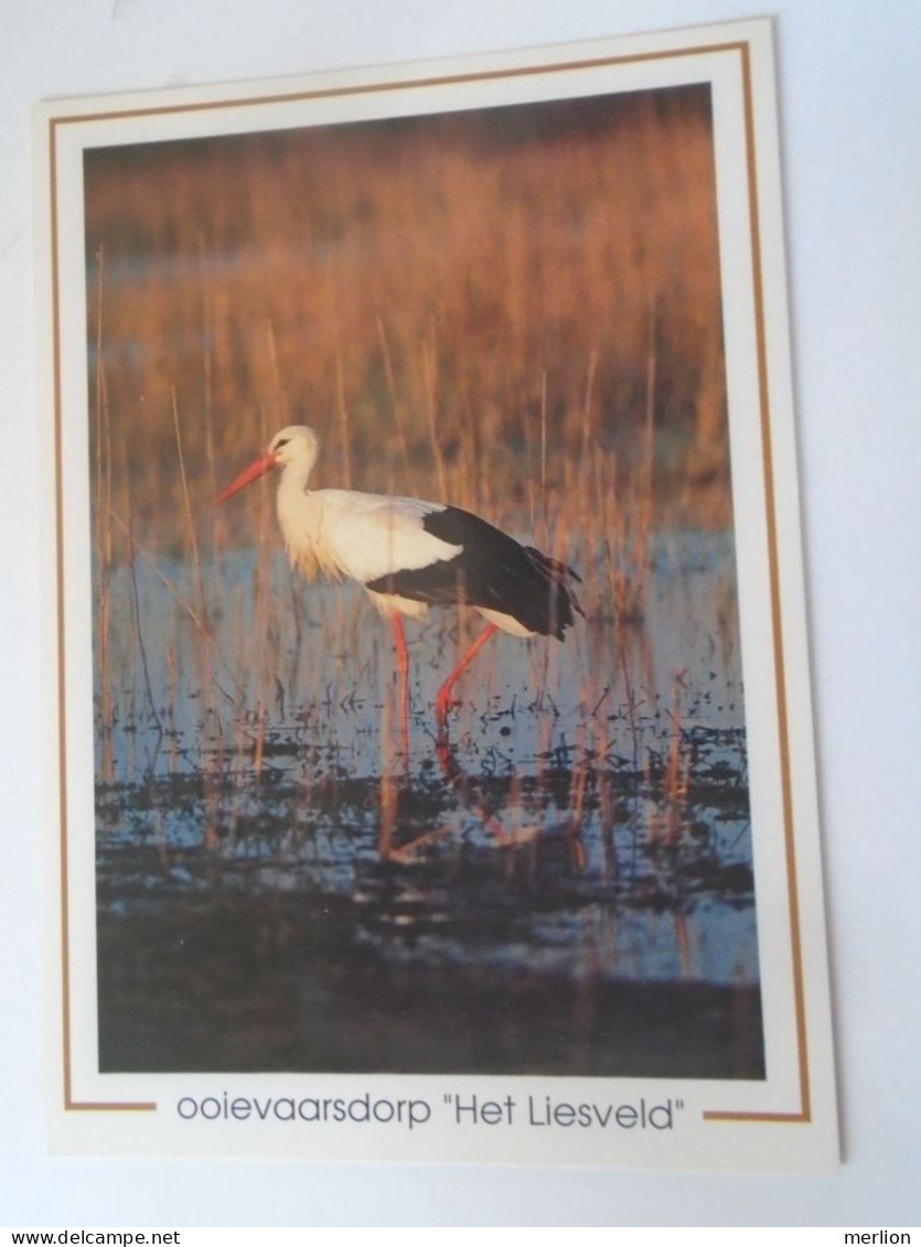 D203120  Birds - Stork Cigogne Stroch - Lot Of 3 Postcards - OOIEVAARDORP  Het Liesveld - Oiseaux