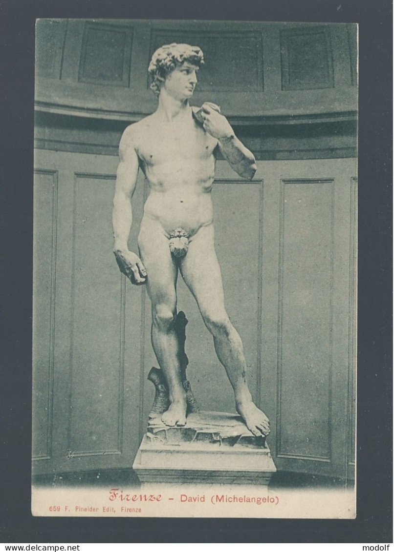 CPA - Arts - Sculptures - Firenze - David (Michelangelo) - Non Circulée - Sculptures