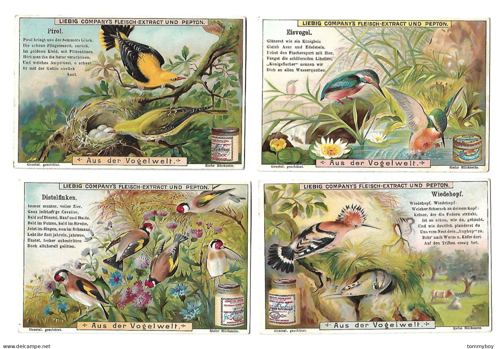 S 651, Liebig 6 Cards, Aus Der Vogelwelt  (German)  (ref B15) - Liebig