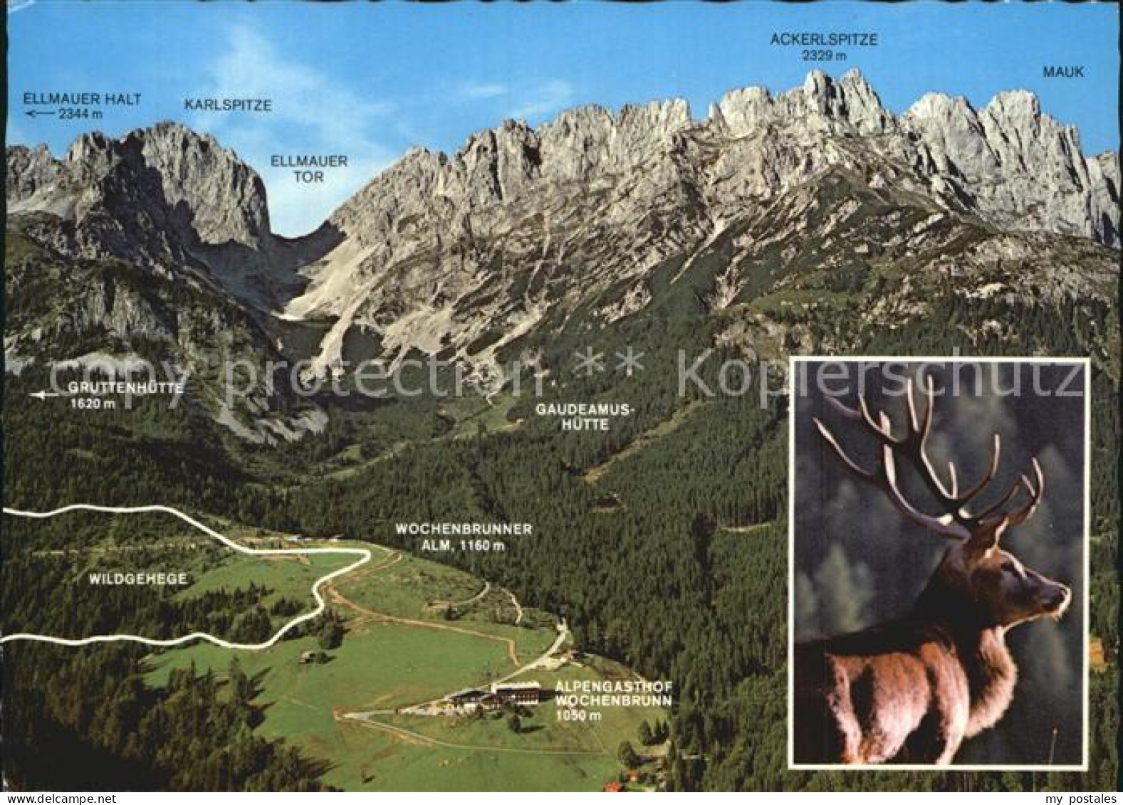 72570733 Ellmau Tirol Alpengasthof Wochenbrunn  Ellmau - Autres & Non Classés