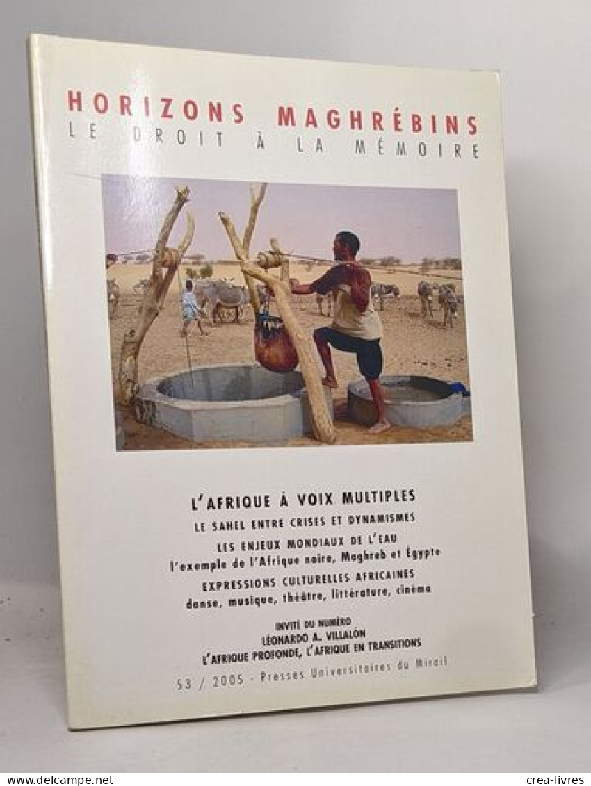 L'AFRIQUE A VOIX MULTIPLES. LES ENJEUX MONDIAUX DE L'EAU - Non Classés