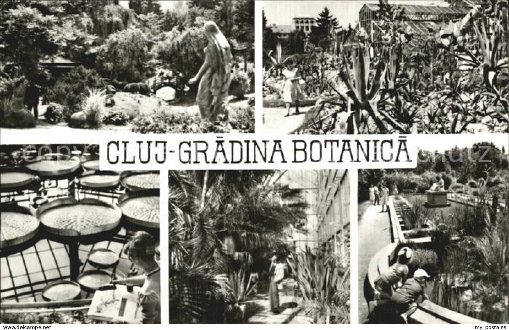 72569734 Cluj-Napoca Gradina Botanica Cluj-Napoca - Romania