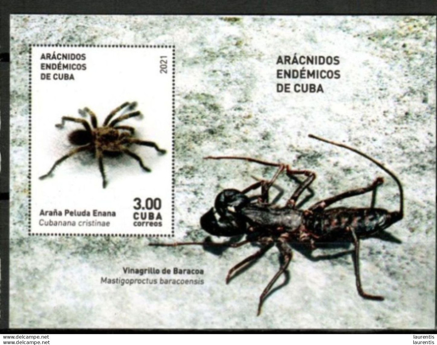16150  Spiders - Scorpions - 2021 - MNH - Cb - 3,25 . - Araignées