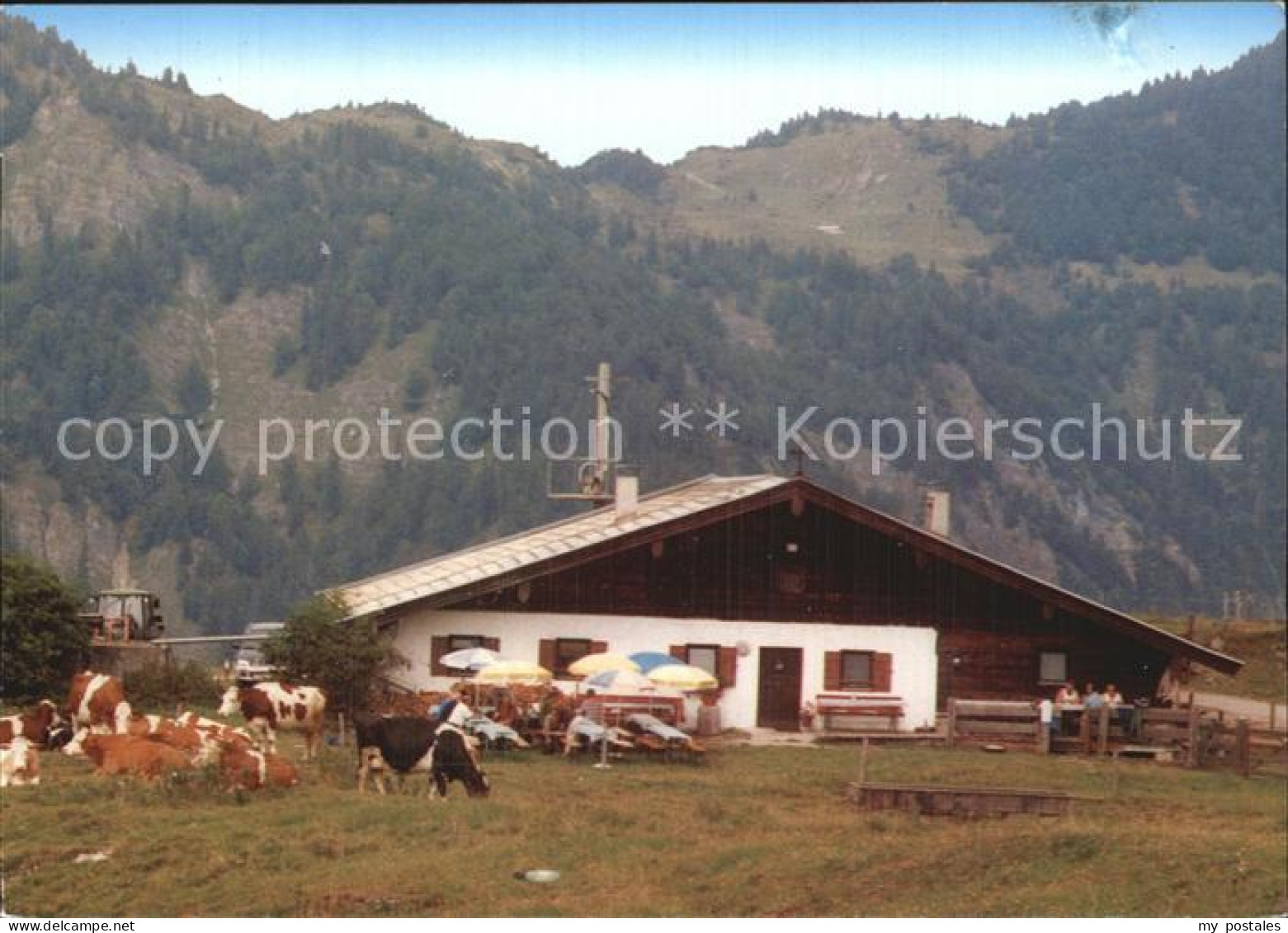 72568768 Kirchdorf Tirol Prost Alm  Kirchdorf In Tirol Wilder Kaiser - Autres & Non Classés