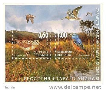 BULGARIA - 2009 - Ecology - Oiseaux - Emision Commune - Bulgarie - Serbien - Bl** - Otros & Sin Clasificación