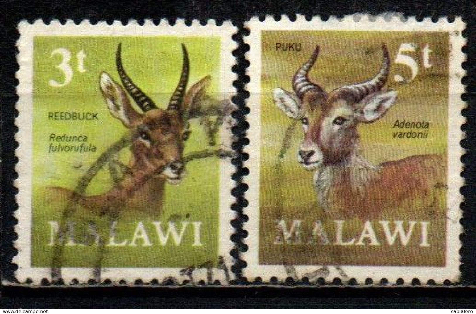 MALAWI - 1971 - ANIMALI - ANIMALS - USATI - Malawi (1964-...)