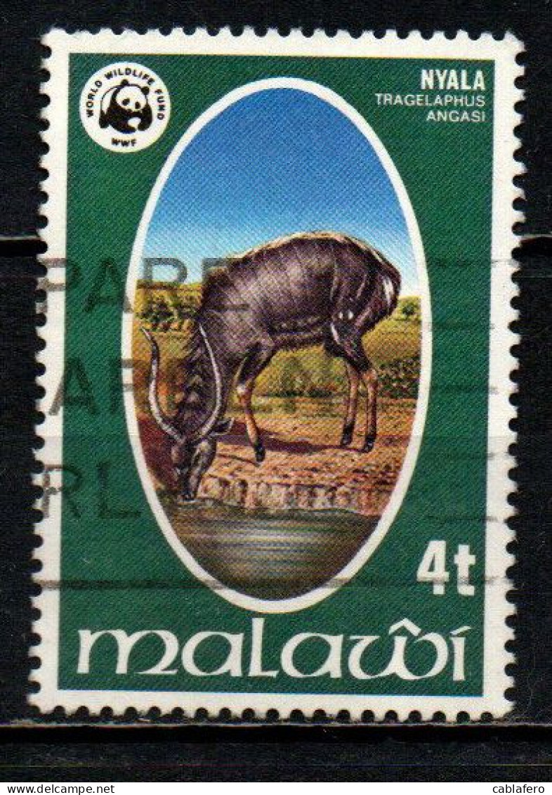 MALAWI - 1978 - ANIMALI E WWF: NYALA - USATO - Malawi (1964-...)