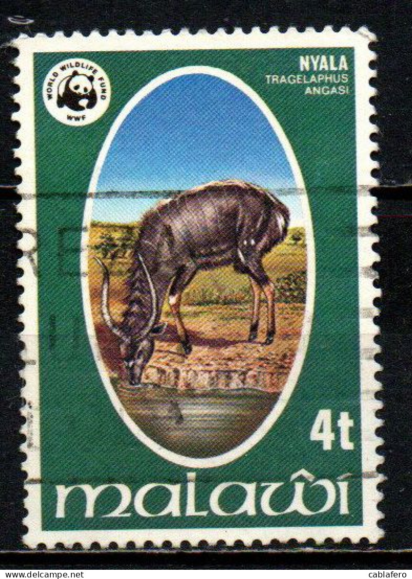 MALAWI - 1978 - ANIMALI E WWF: NYALA - USATO - Malawi (1964-...)