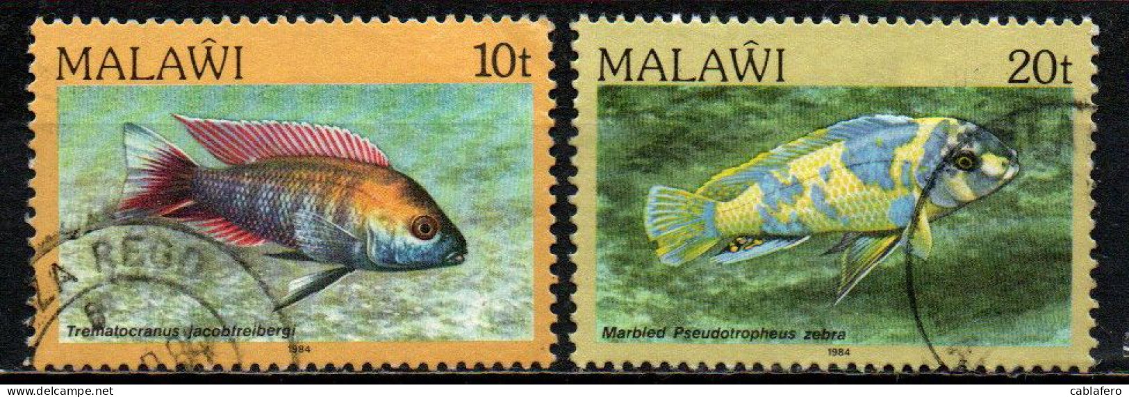 MALAWI - 1984 - Aquarium Species, Lake Malawi - USATI - Malawi (1964-...)