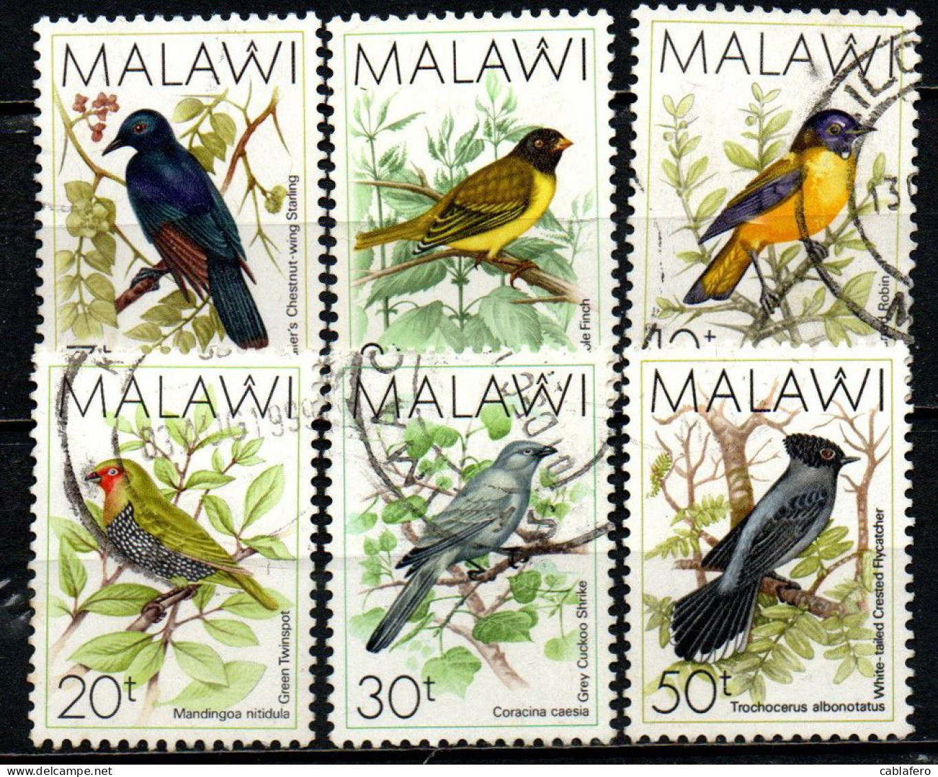 MALAWI - 1988 - UCCELLI - BIRDS - USATI - Malawi (1964-...)