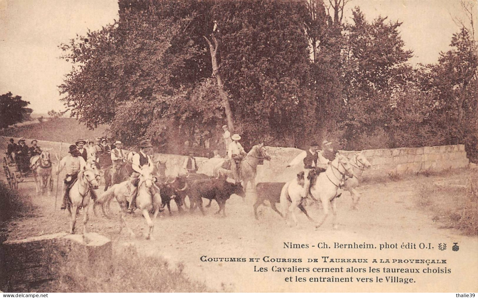 Courses De Taureaux Cavaliers Bernheim Nîmes - Autres & Non Classés