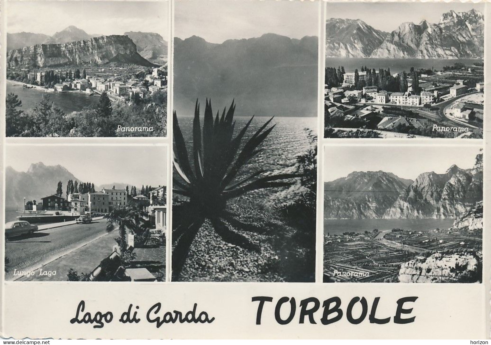 G.934   Lago Di Garda - TORBOLE - Trento - Lotto Di 16 Cartoline F.to Grande - Autres & Non Classés