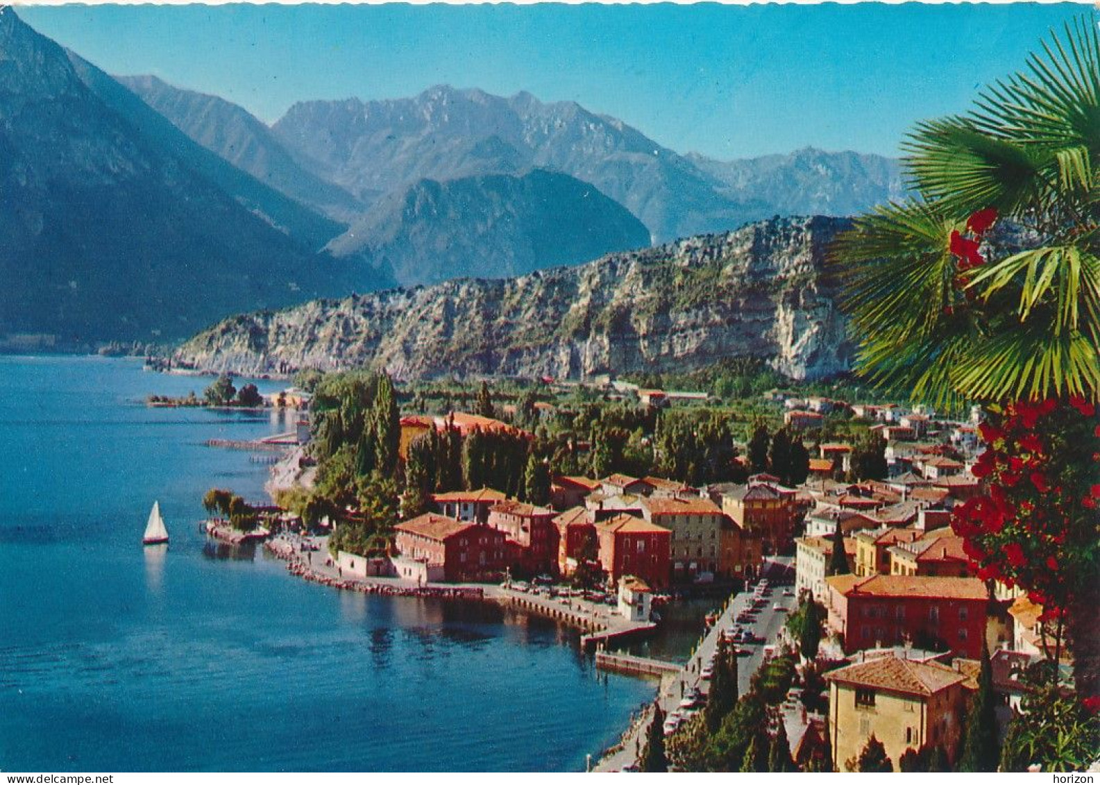 g.934   Lago di Garda - TORBOLE - Trento - Lotto di 16 cartoline f.to grande