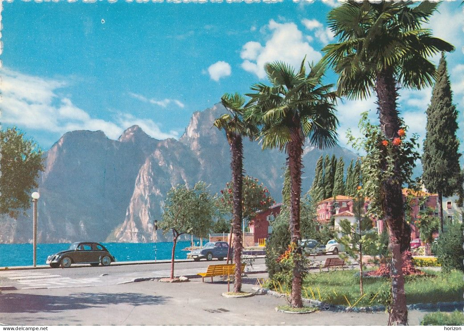 g.934   Lago di Garda - TORBOLE - Trento - Lotto di 16 cartoline f.to grande