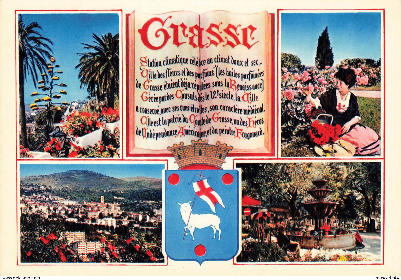 GRASSE - MULTI VUES - Grasse