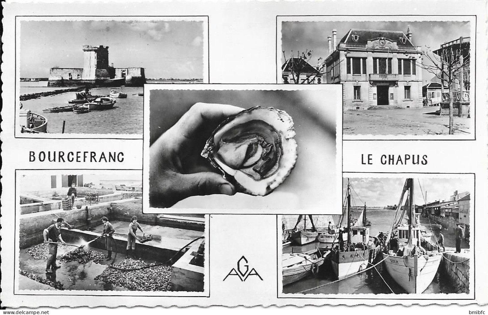 BOURCEFRANC - Le Chapus Fort Louvois . Le Chapus - Hôtel De Ville Bourcefranc - Dégorgeoirs. Vieux Port Le Chapus - Autres & Non Classés