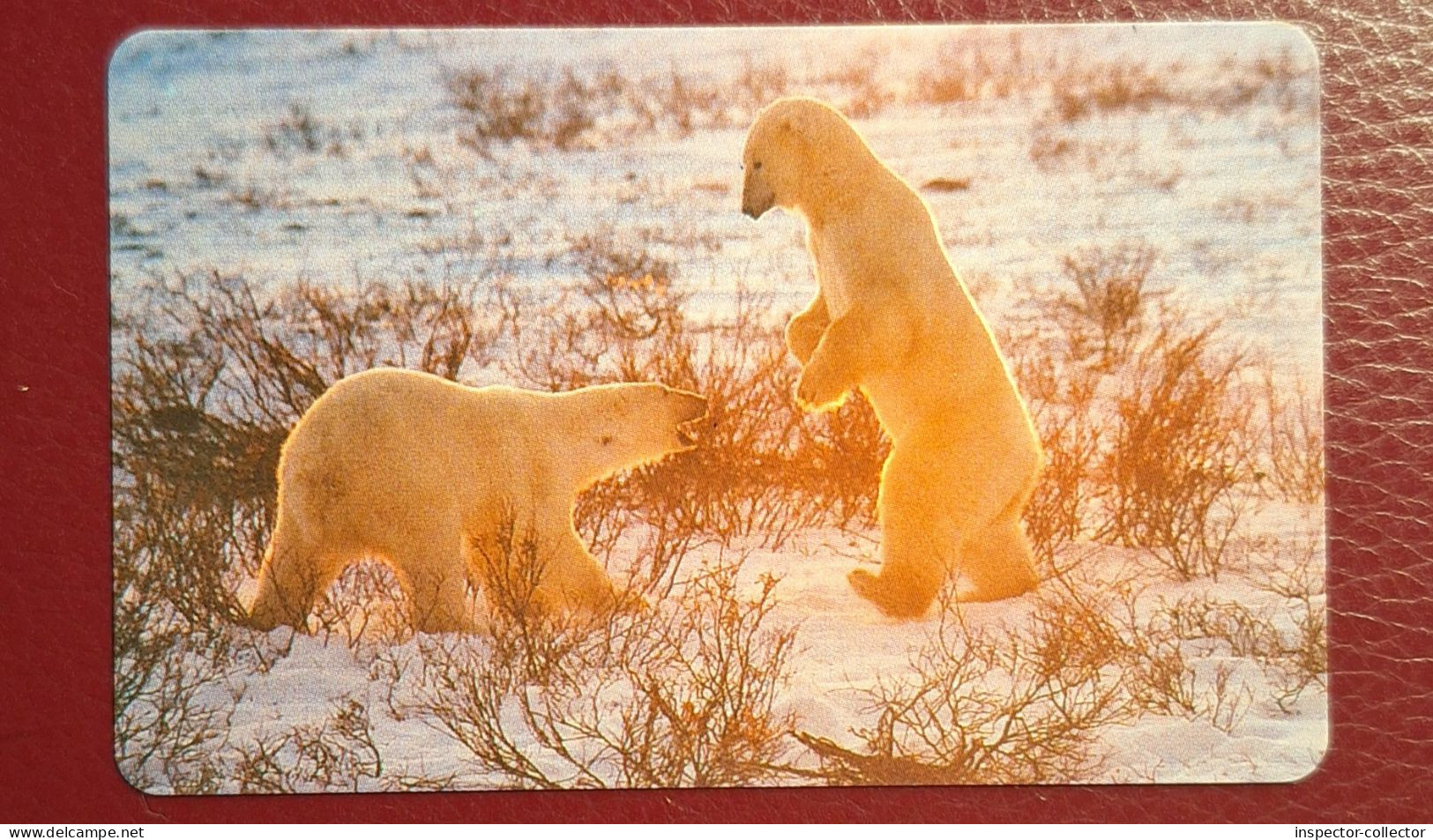 MALAWI Phonecard___Malawi Telecom___!!FAKE!!___polar Bears - Malawi