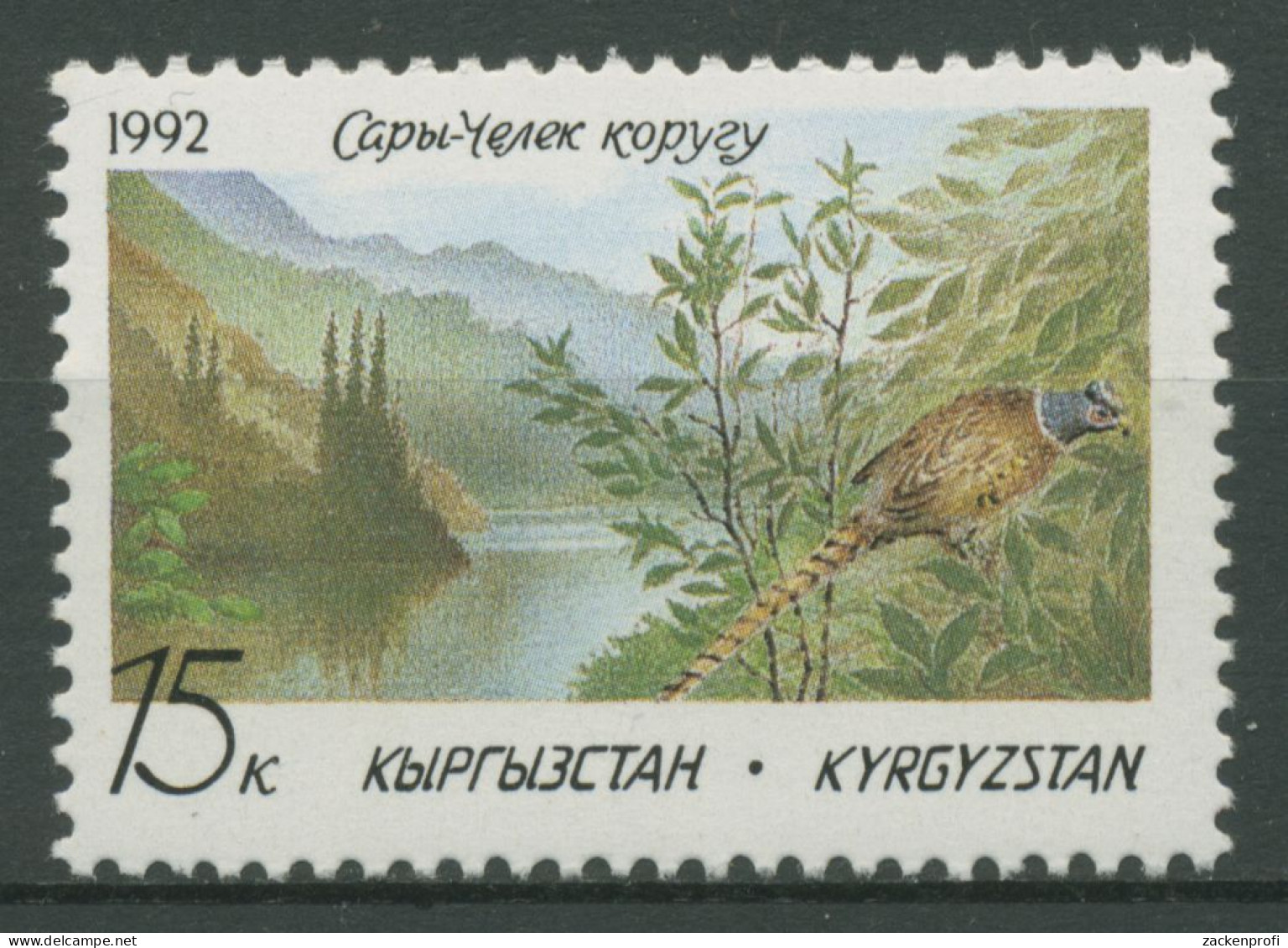 Kirgisien 1992 Naturschutz Tiere Vögel Fasan 1 Postfrisch - Kirghizistan