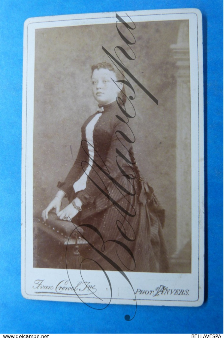 C.D.V. Carte De Visite. Atelier Portret Photo J.VAN CREWEL Jeune Antwerpen - Célébrités