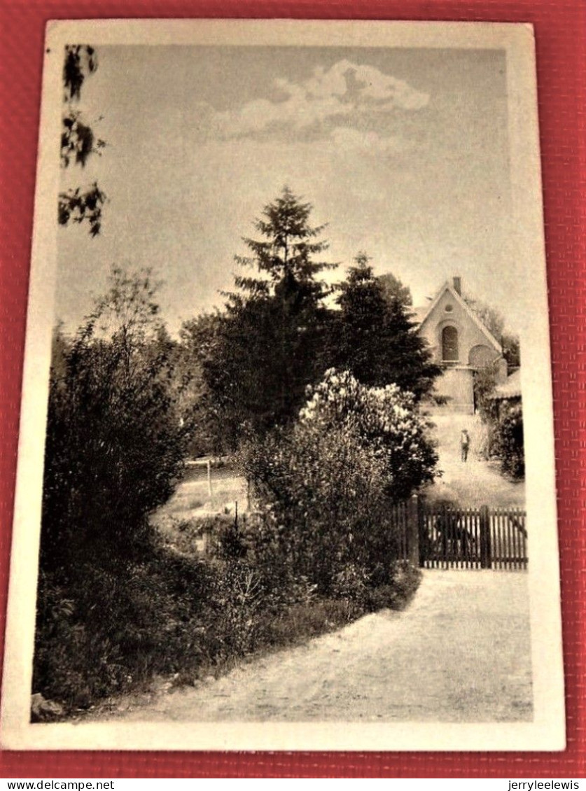 CARNIERES  -  Asile Du Sacré Coeur   - Une Vue Du Parc - Morlanwelz