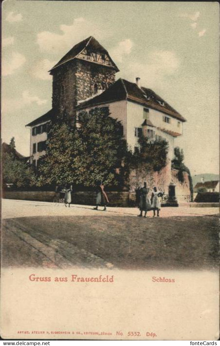11115895 Frauenfeld Schloss  Frauenfeld - Other & Unclassified