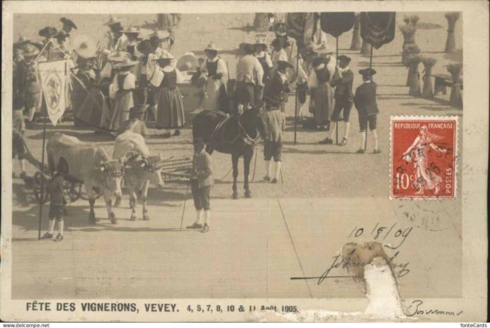 11115741 Vevey VD Fete Des Vignerons Pferd Kuh Vevey - Autres & Non Classés