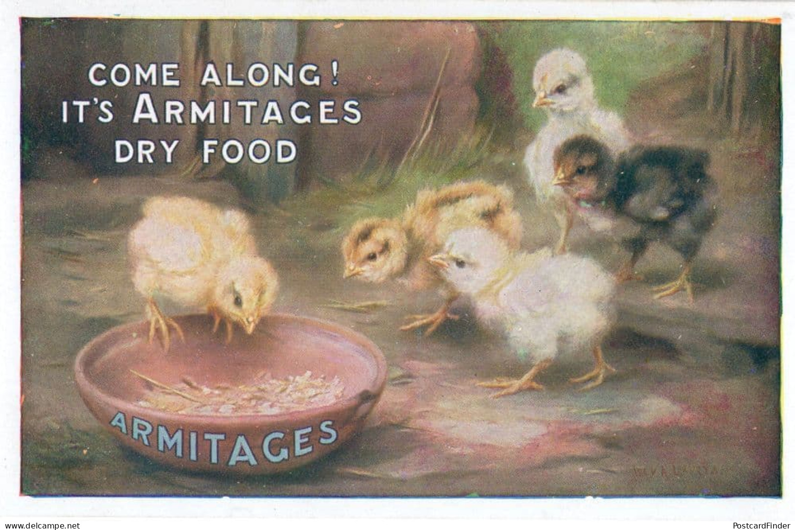 Armitage Dry Food Farm Chicks Birds Seed Old Advertising Postcard - Publicité