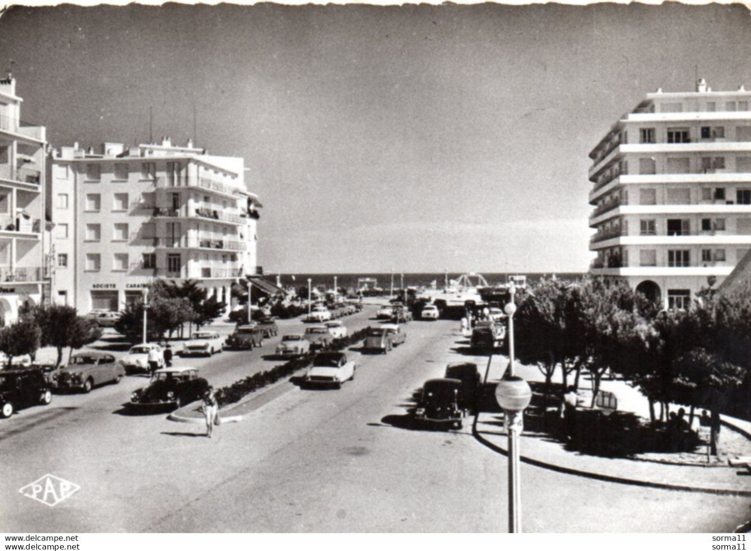 CPSM CANET PLAGE 66 Avenue De La Méditerranée - Canet Plage