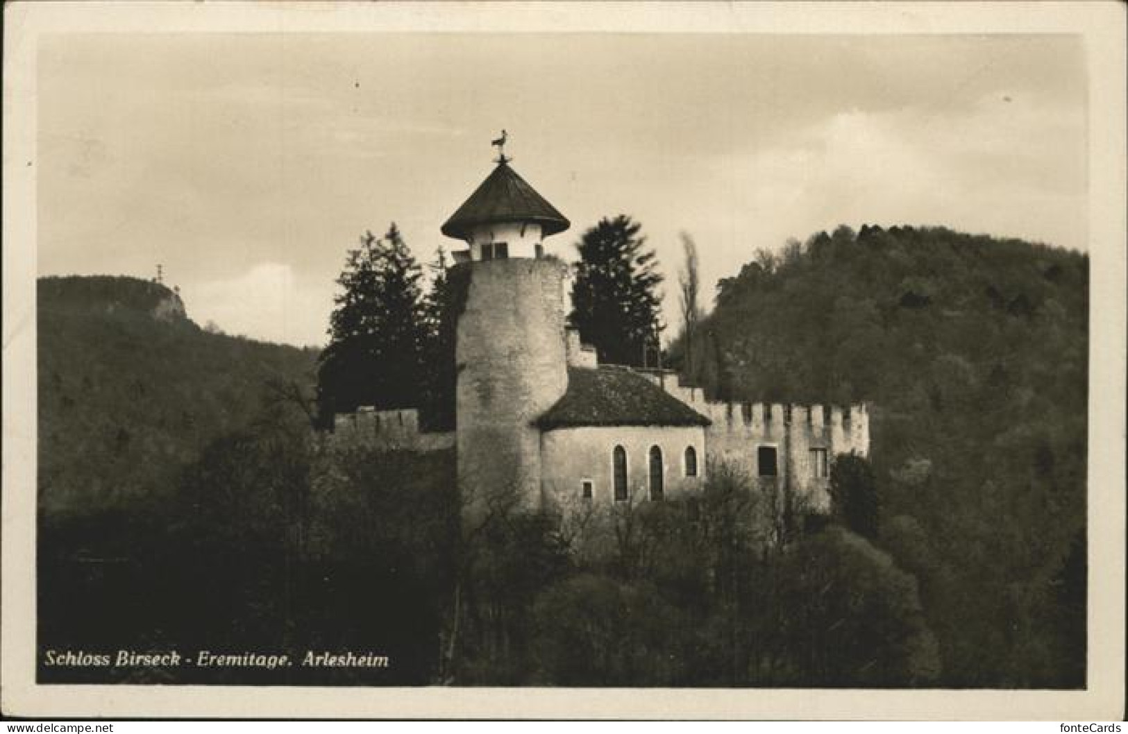 11115270 Arlesheim Schloss Birseck  - Autres & Non Classés