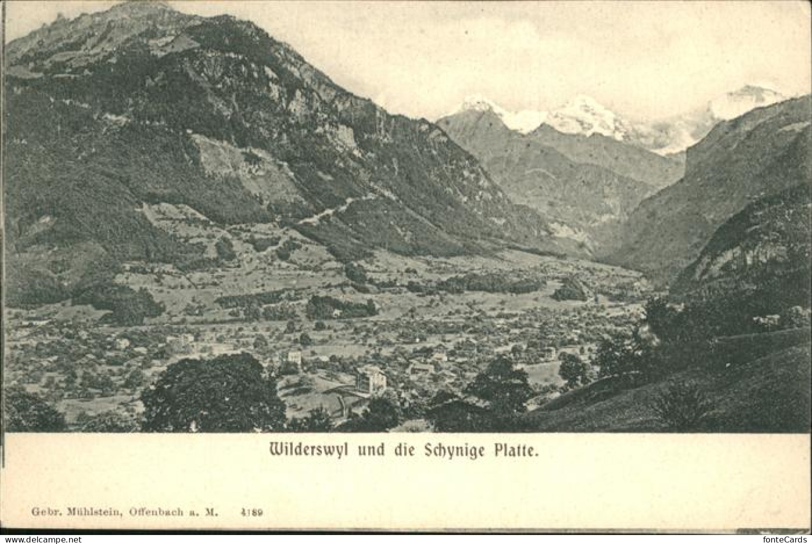 11115266 Wilderswil Schynige Platte - Autres & Non Classés