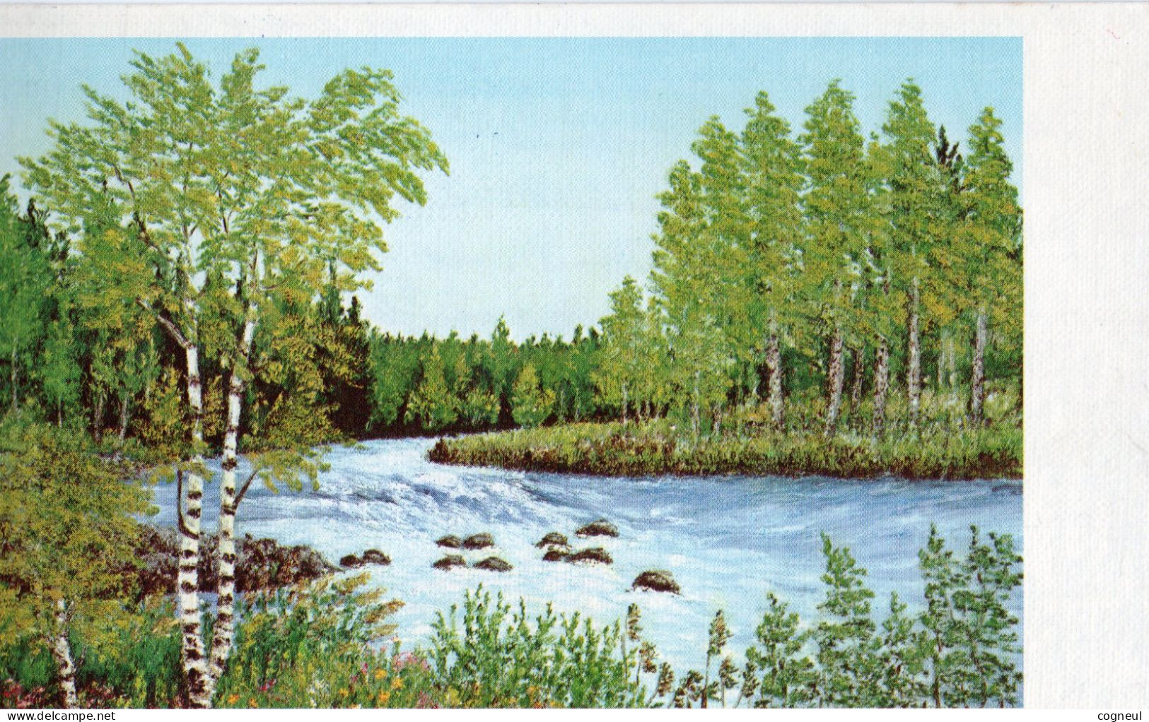 Flusslandschaft - Paysage De Rivière - Autres & Non Classés