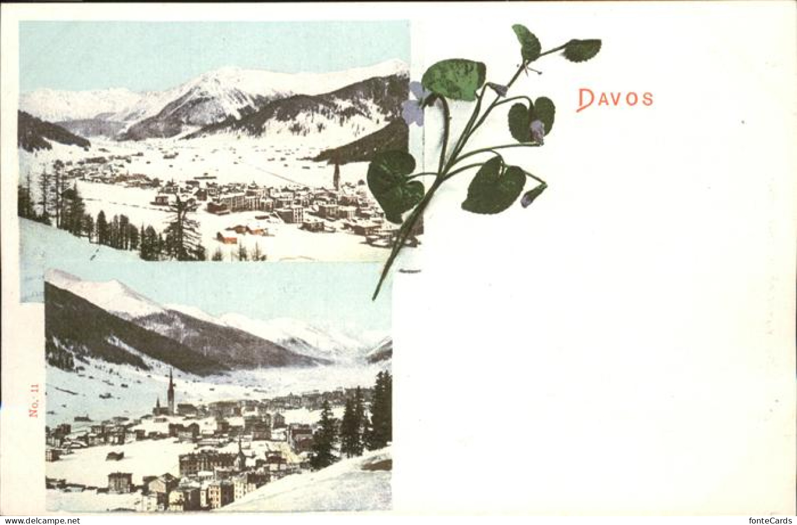 11114952 Davos_GR Blume - Sonstige & Ohne Zuordnung