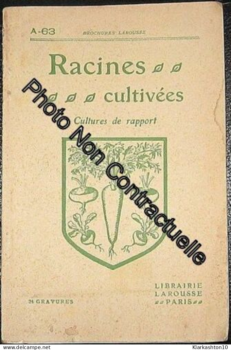 Racines Cultivées N° 63 : Cultures De Rapport - Non Classés